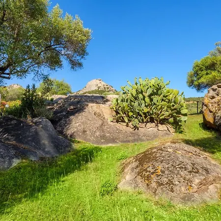 Appartamento Alexhouse Bilocale Grande Baja Sardinia